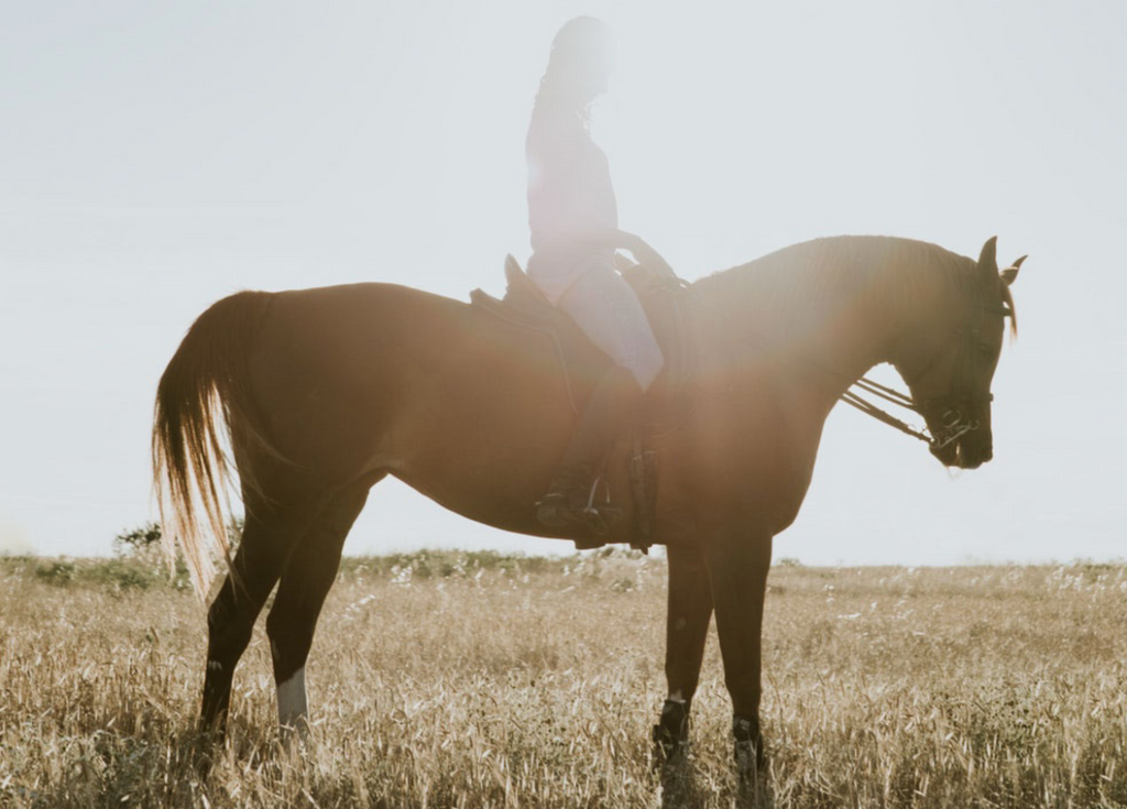 Safe Summer Riding