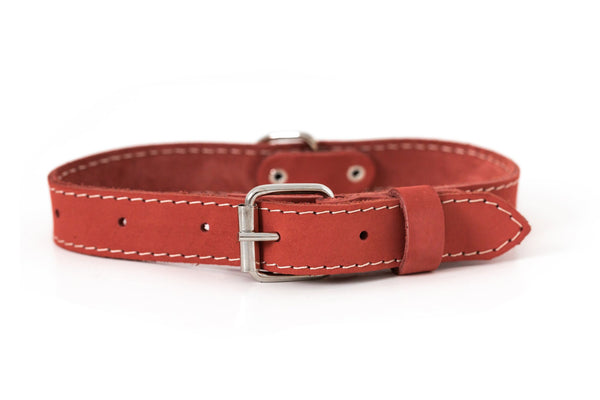 Euro Dog Soft Leather Dog Collar